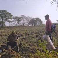 Dos campesinos trabajando la tierra