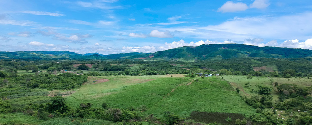 Fotografía de un paisaje de un día soleado con vista a las montañas.