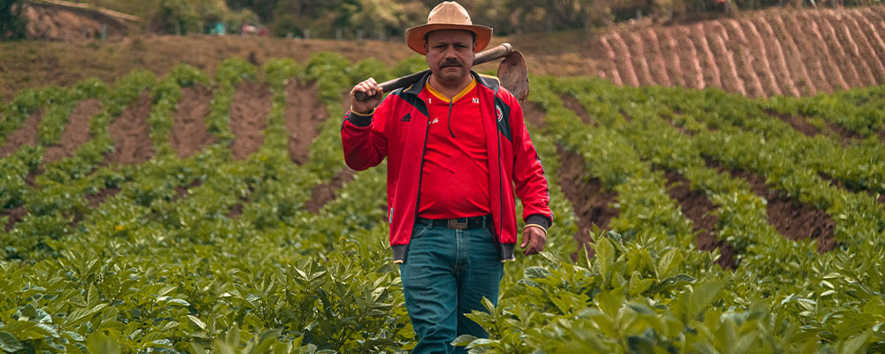 Fotografía de un campesino en una cosecha.
