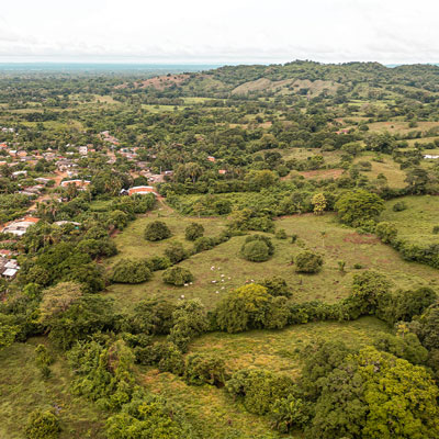 Fotografía panorámica de un terreno con montañoso con árboles