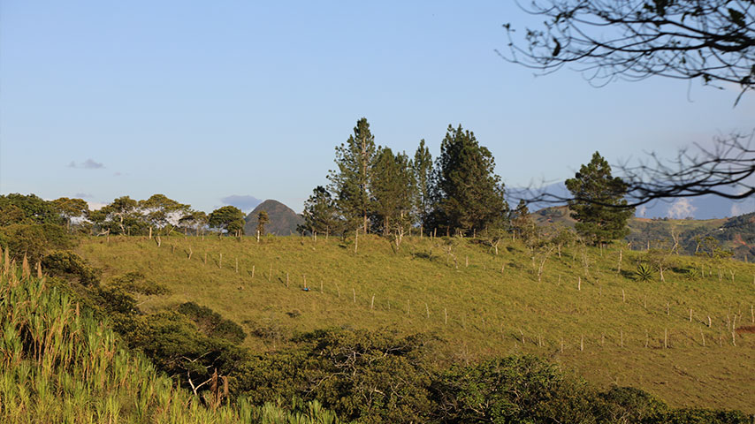 Fotografía de un terreno con zonas verdes.